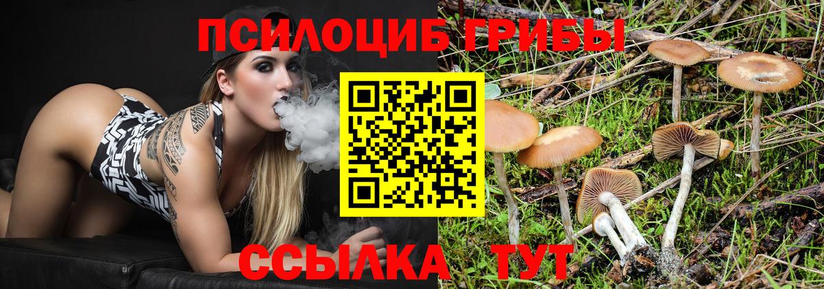 Псилоцибиновые грибы Psilocybine cubensis  Вход с VPN  Назарово 